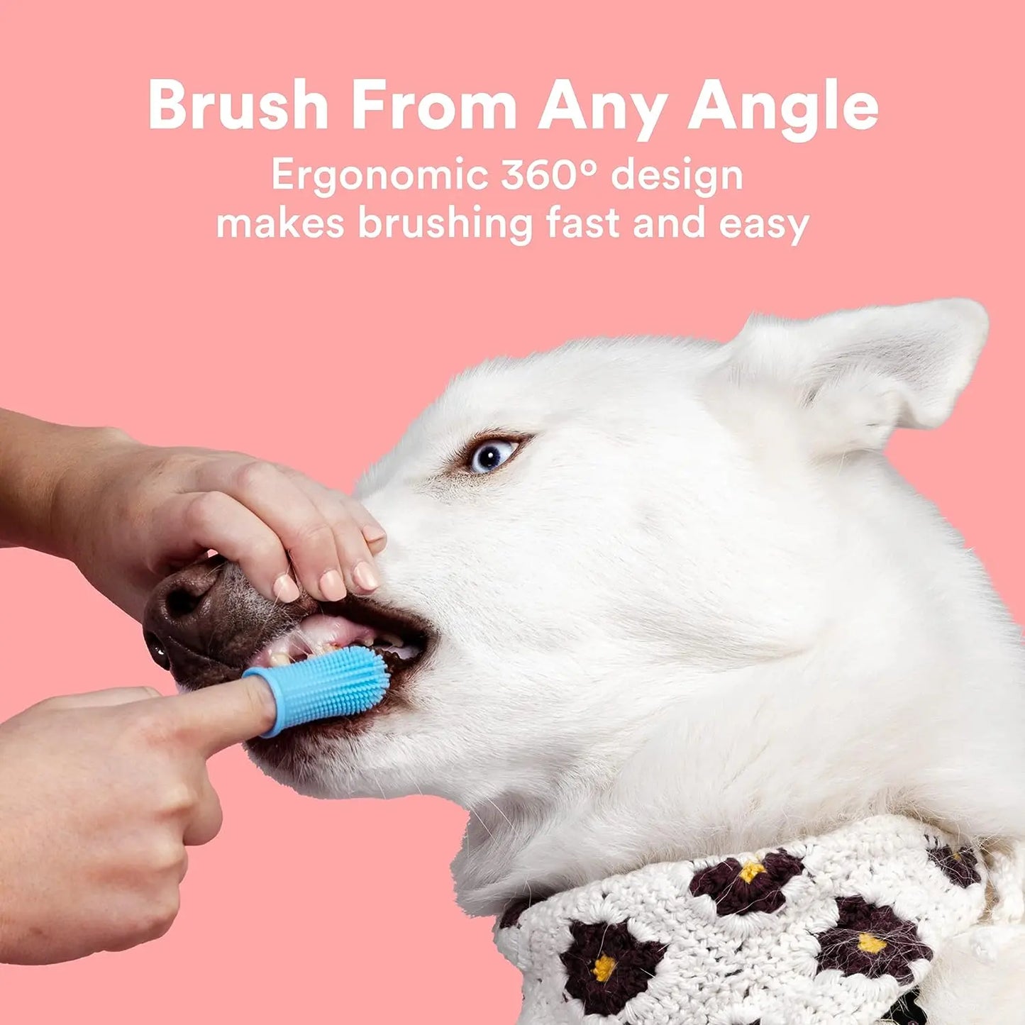 Jasper Dog Toothbrush, 360º Dog Tooth Brushing Kit, Cat Toothbrush, Dog Teeth Cleaning, Dog Finger Toothbrush, Dog Tooth Brush for Small & Large Pets - Clear 2-Pack